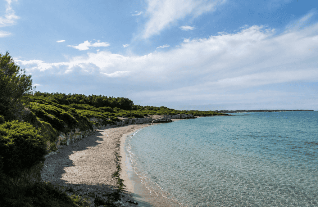 Baia dei Turchi a Otranto con acqua turchese e pineta mediterranea, Ferragosto in Salento
